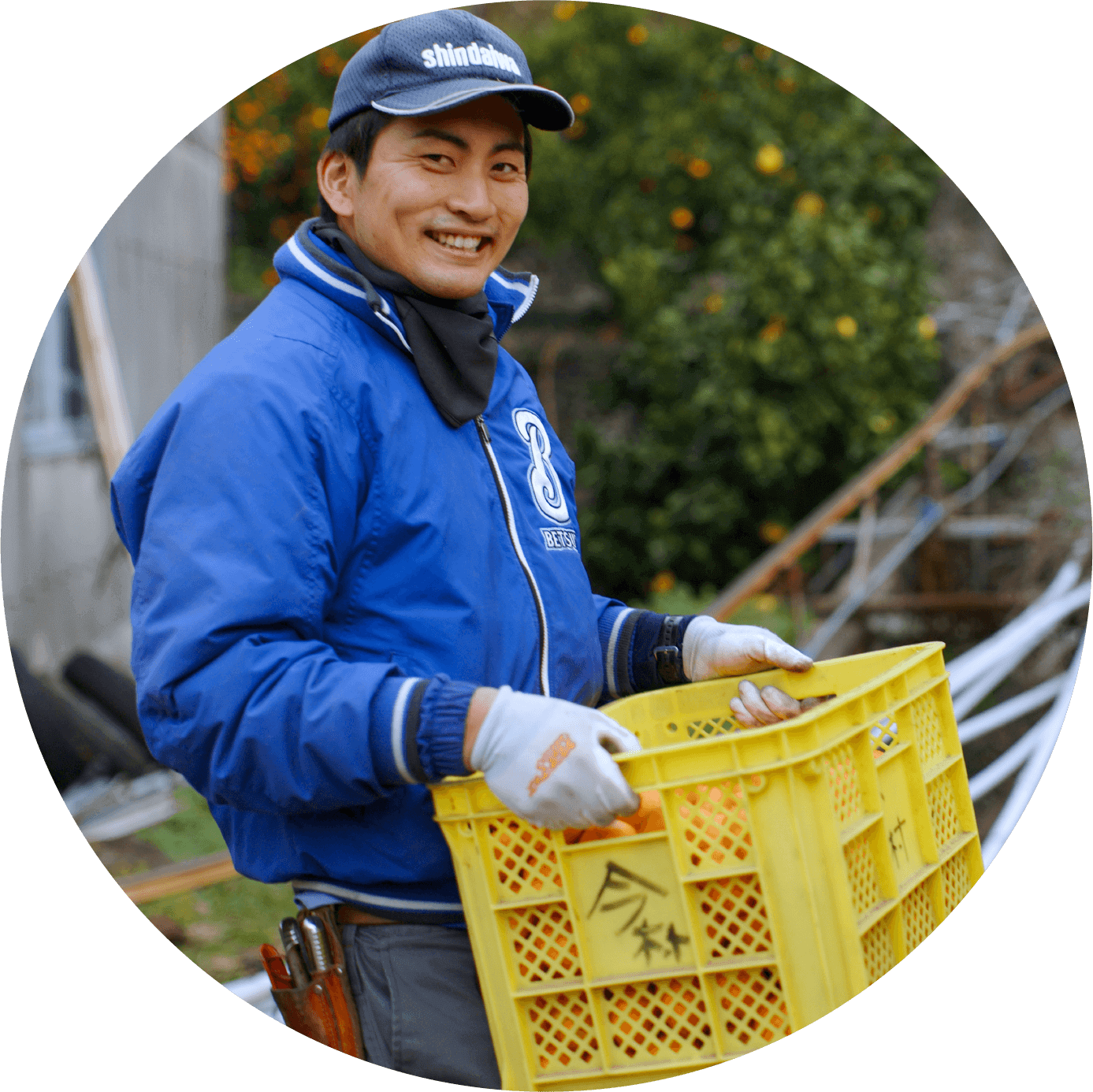 今村農園イメージ写真