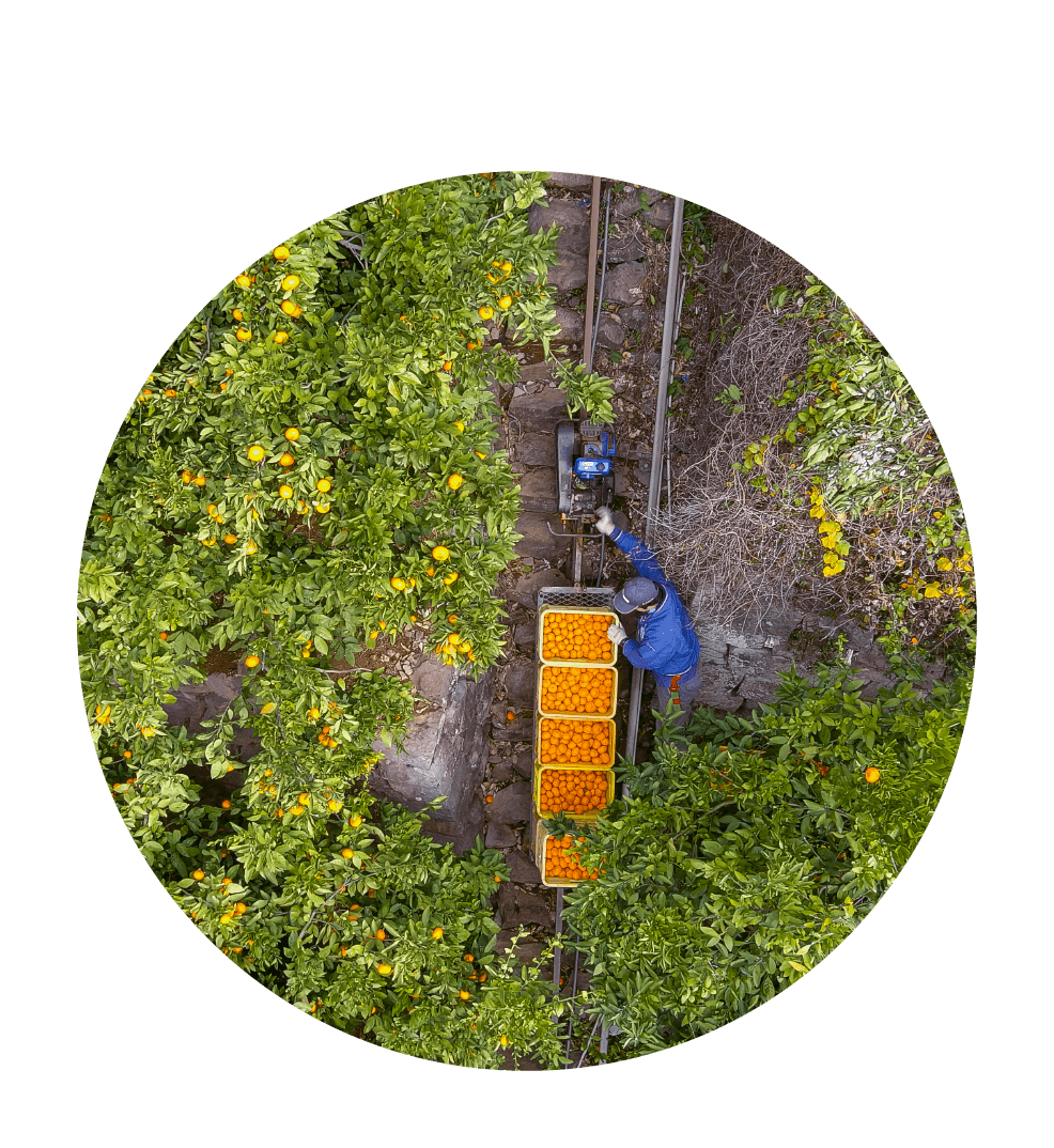 ❶適地適作