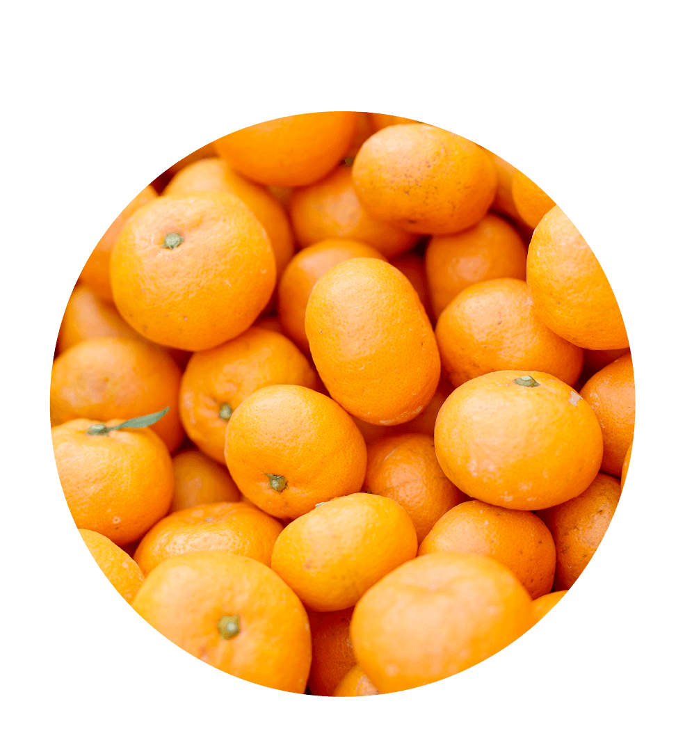 ❷減農薬栽培