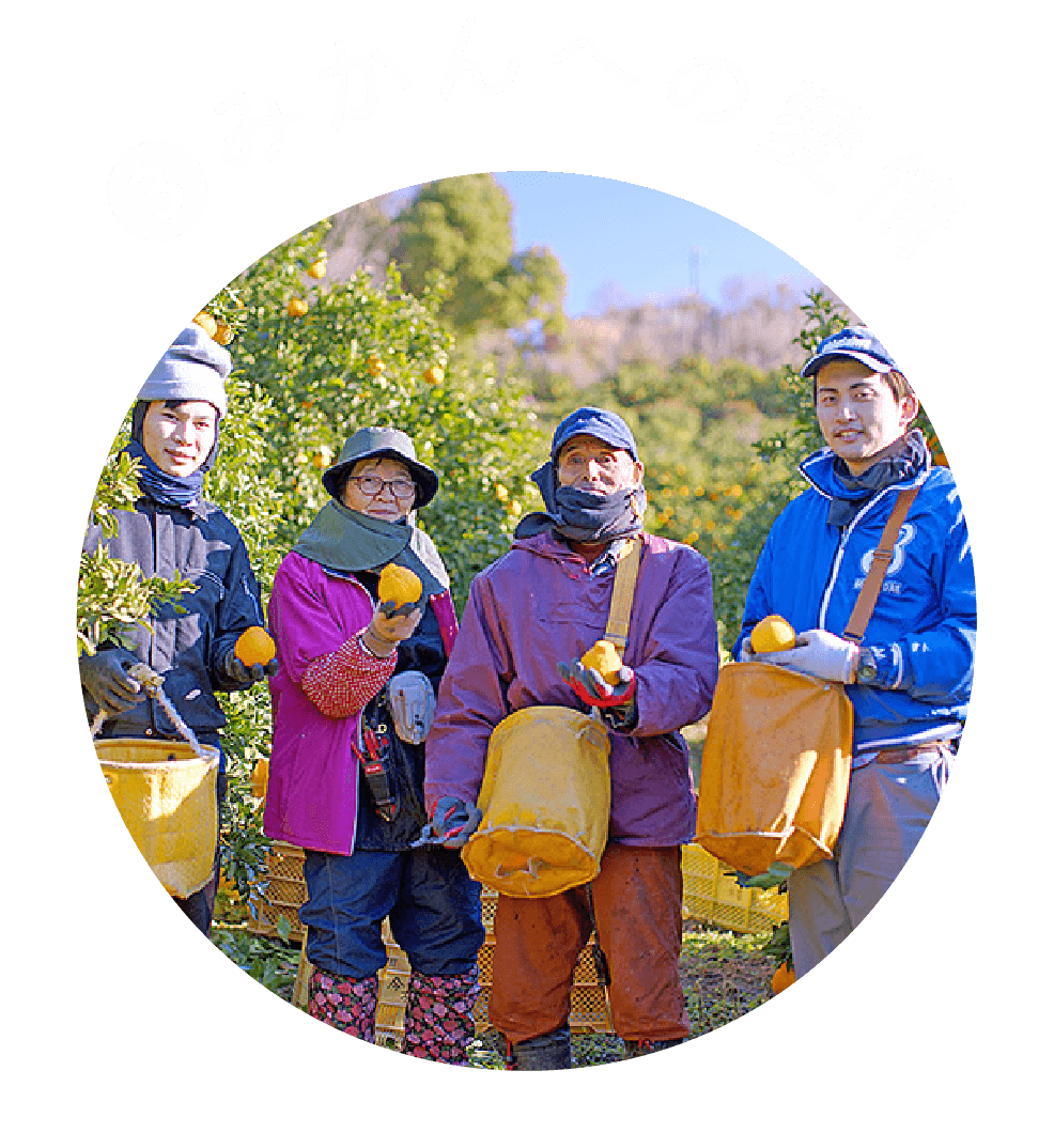 ❸みかんへの愛情